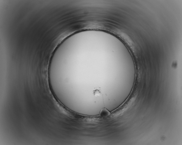 X0000102471041200808221638