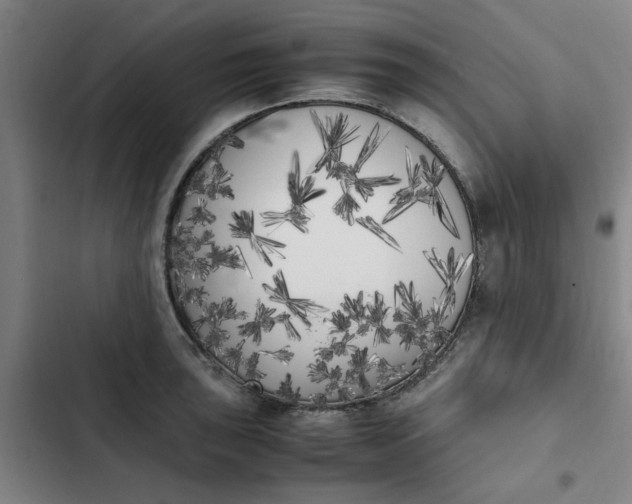 X0000102471043200808221638