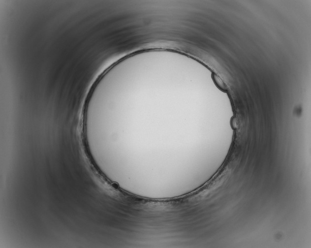 X0000102471044200808221638