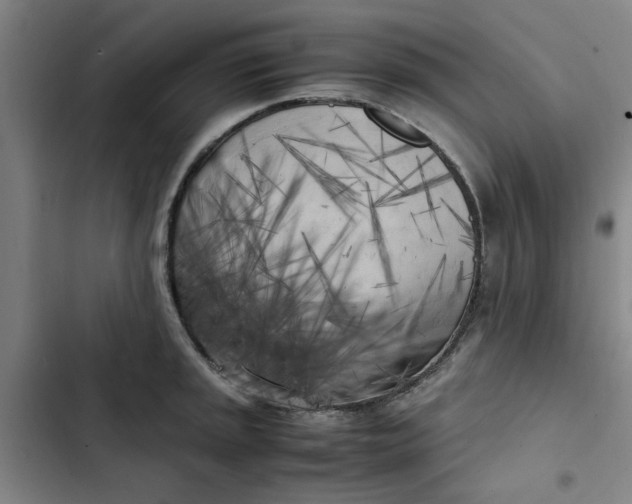X0000102471045200808221638