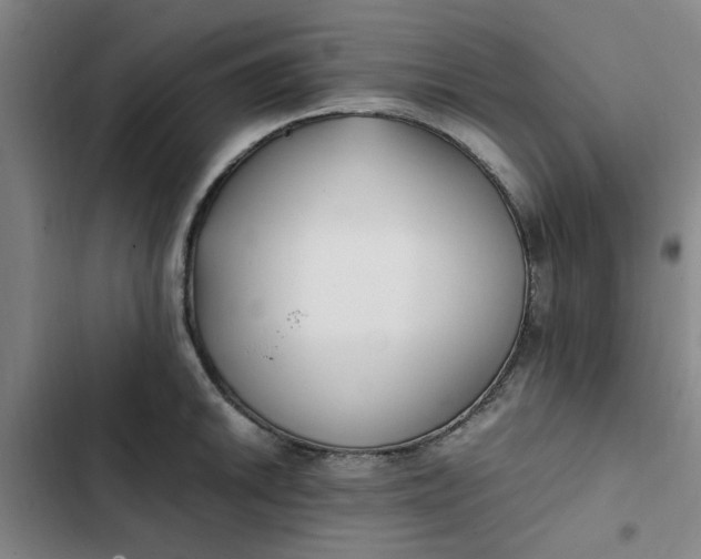 X0000102471046200808221638