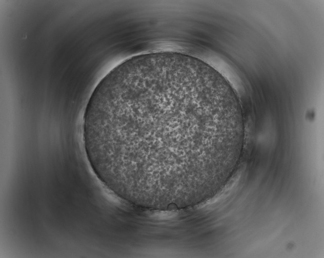 X0000102471047200808221638