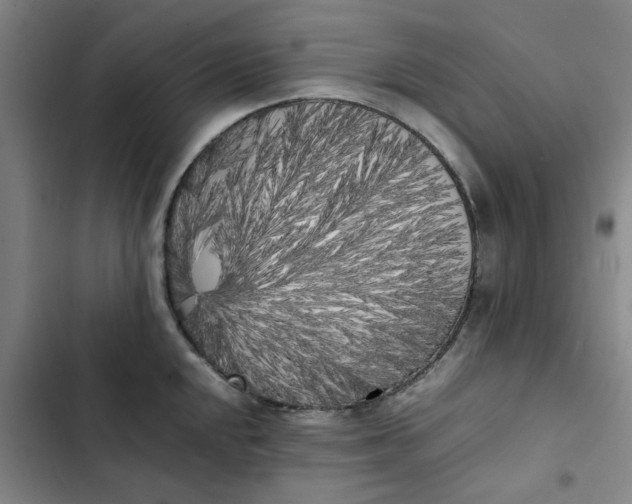 X0000102471048200808221638