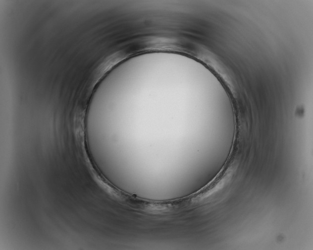 X0000102471049200808221638