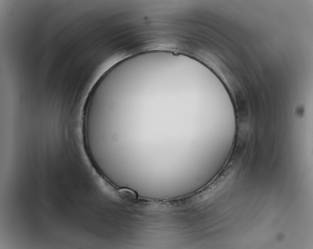 X0000102471050200808221638