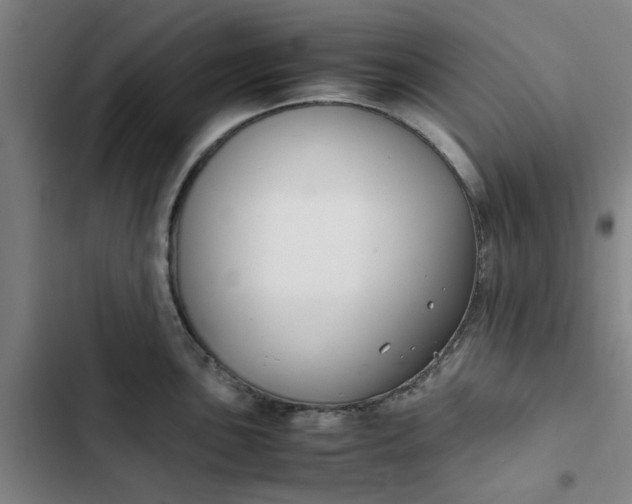 X0000102471051200808221638