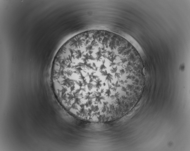 X0000102471052200808221638