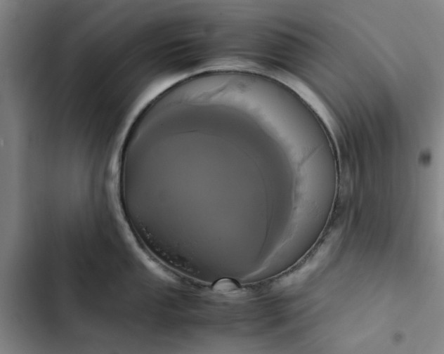 X0000102471053200808221638