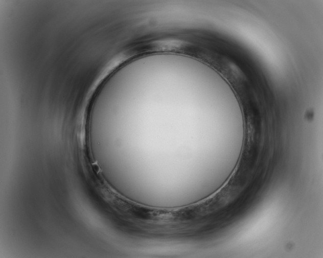 X0000102471054200808221638