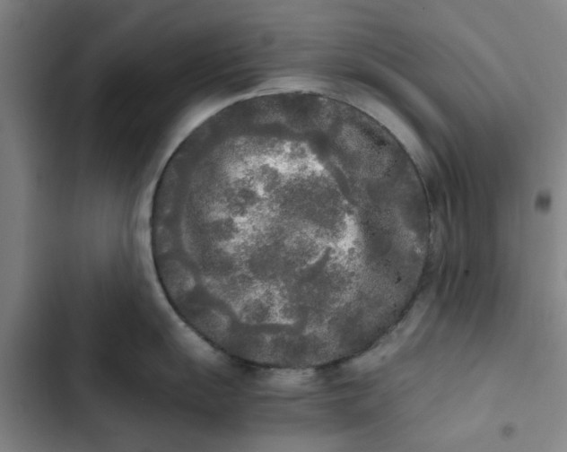 X0000102471055200808221638