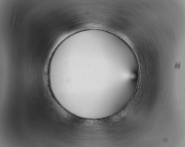 X0000102471056200808221638
