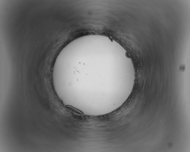 X0000102471057200808221638