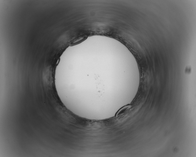 X0000102471058200808221638