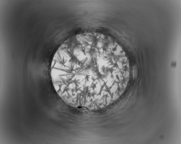 X0000102471059200808221638