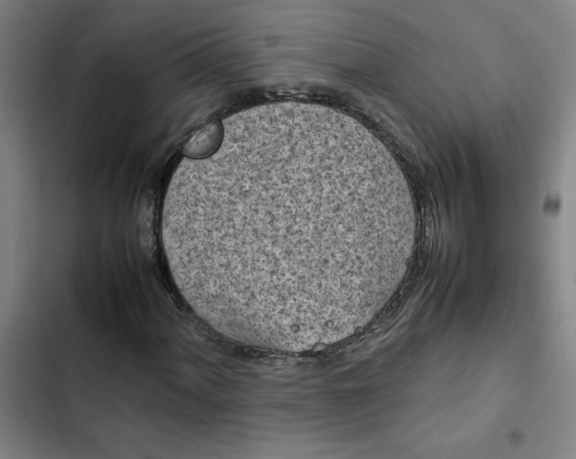 X0000102471060200808221638
