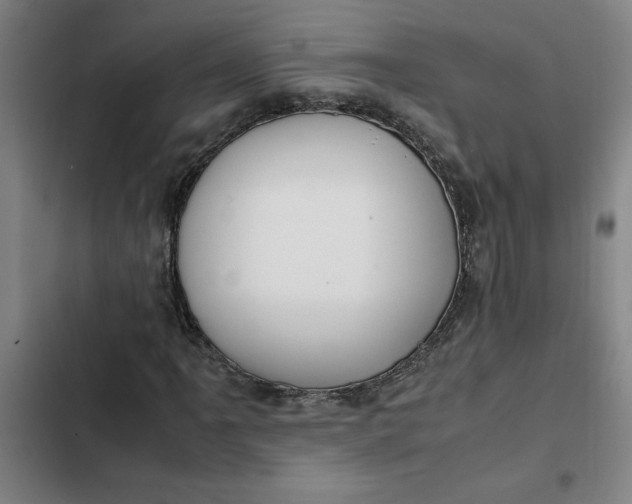 X0000102471061200808221638