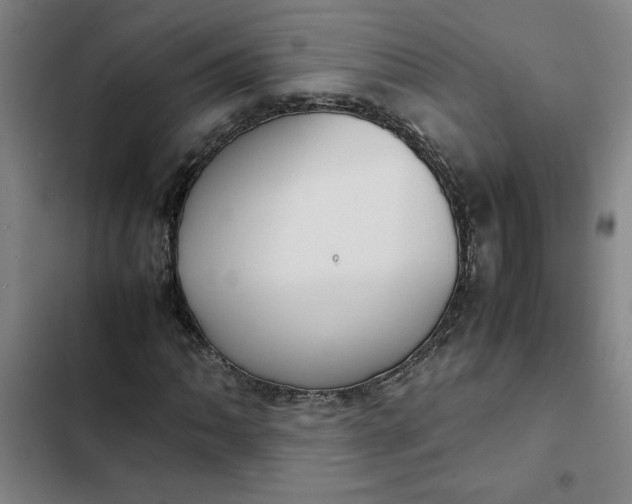 X0000102471062200808221638