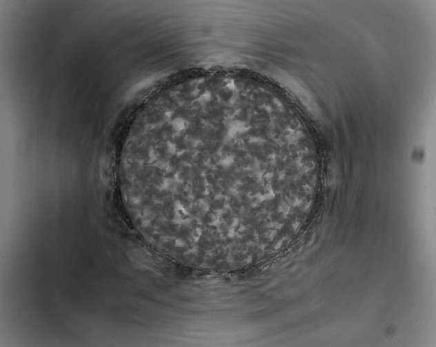X0000102471063200808221637