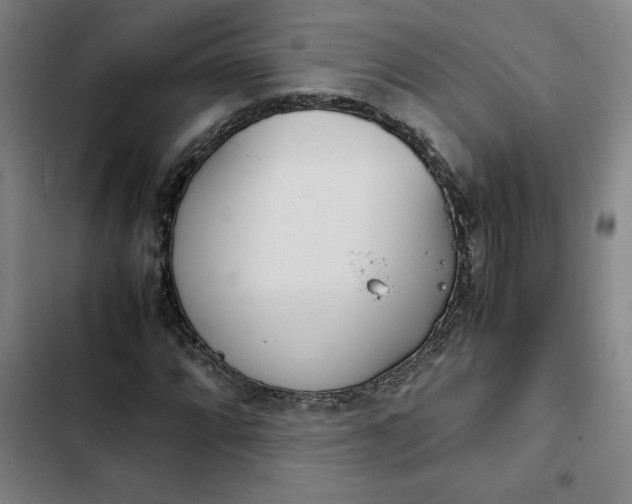 X0000102471064200808221637