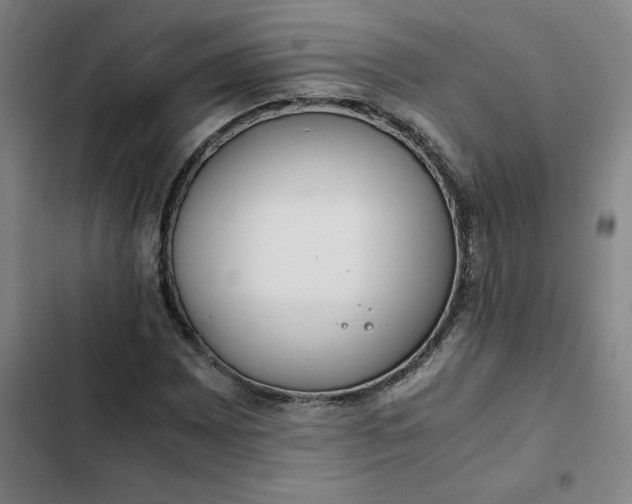 X0000102471065200808221637