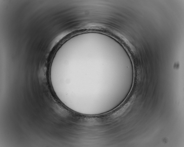 X0000102471066200808221637