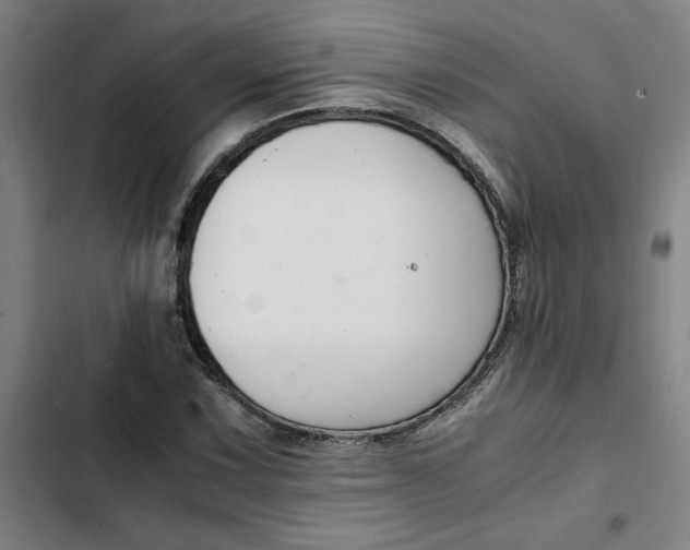 X0000102471067200808221637