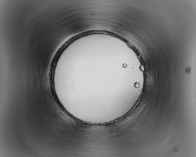 X0000102471068200808221637