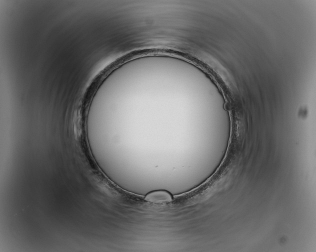X0000102471069200808221637