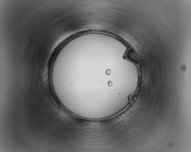 X0000102471070200808221637