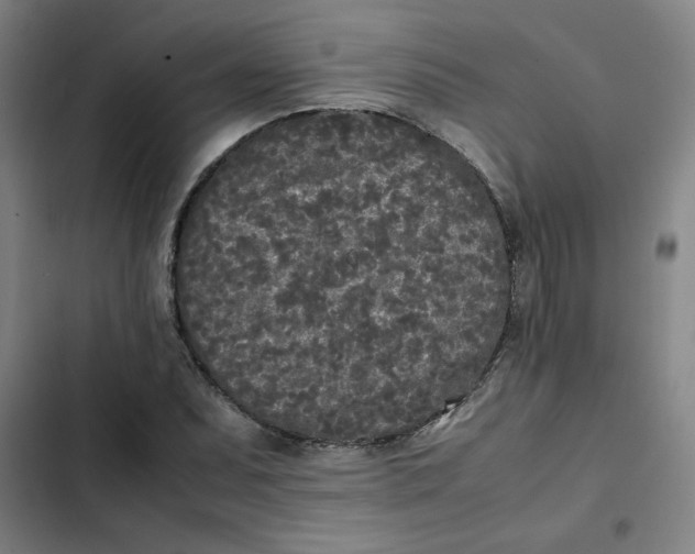 X0000102471071200808221637