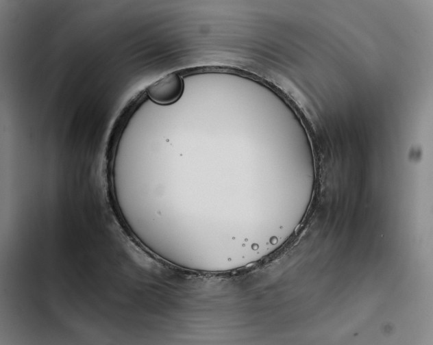 X0000102471072200808221637