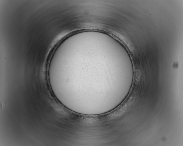 X0000102471074200808221637