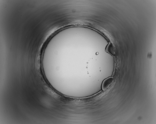 X0000102471075200808221637