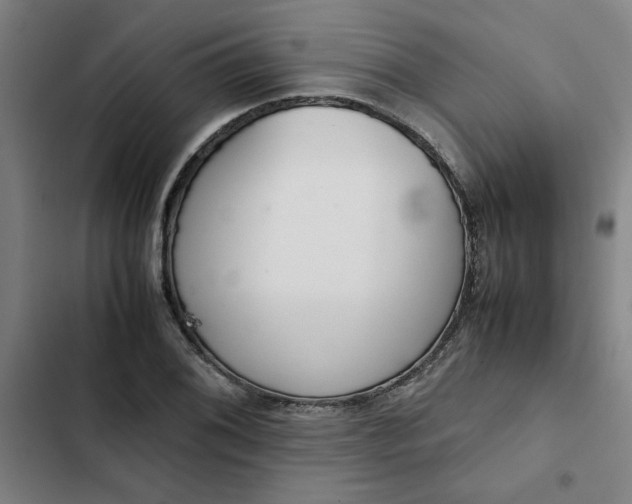 X0000102471076200808221637