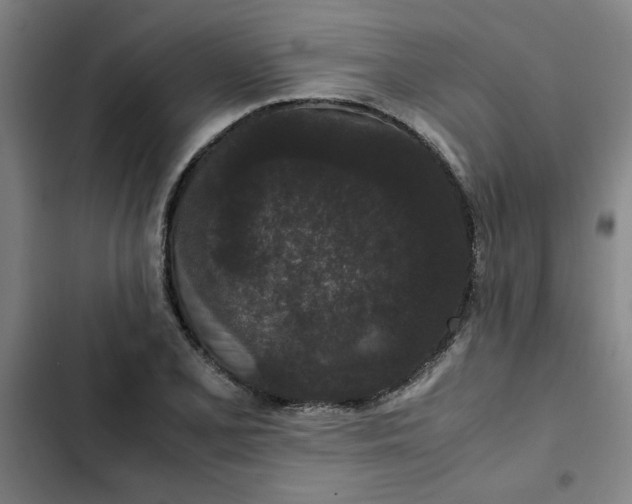 X0000102471077200808221637