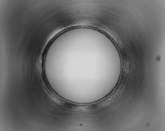 X0000102471078200808221637