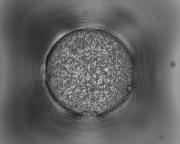 X0000102471079200808221637