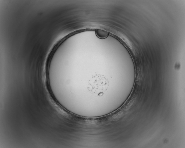 X0000102471080200808221637