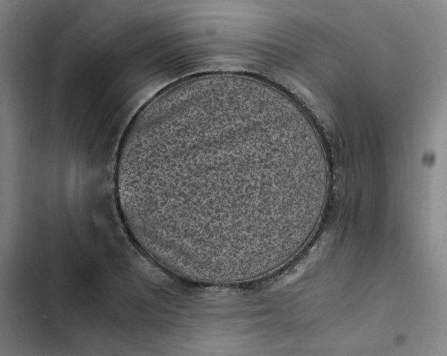 X0000102471081200808221637