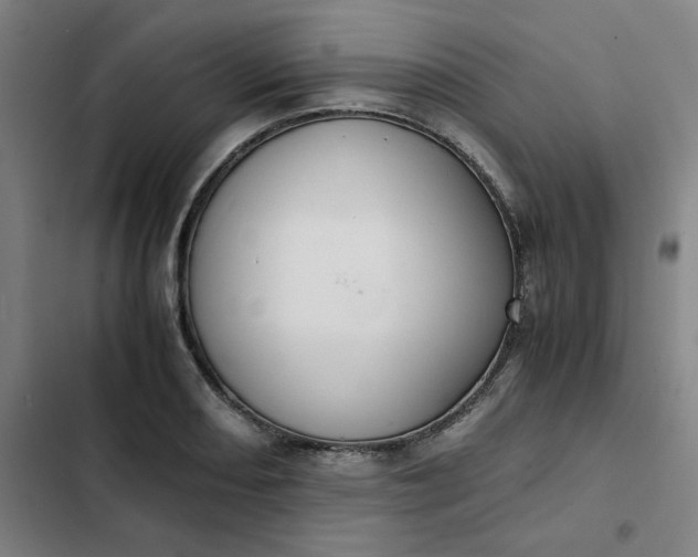 X0000102471082200808221637
