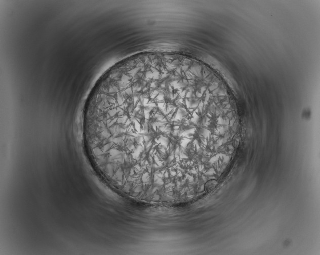 X0000102471083200808221637