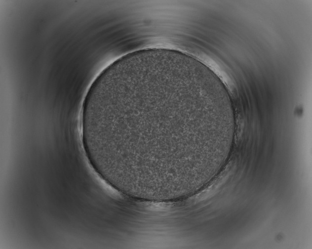 X0000102471084200808221637