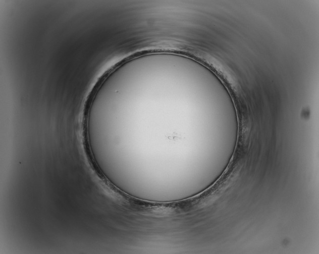X0000102471085200808221637