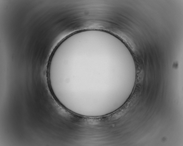 X0000102471086200808221637