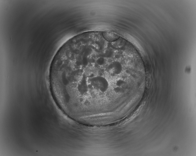 X0000102471087200808221637