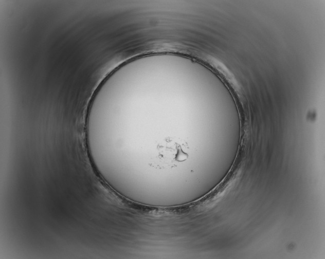 X0000102471089200808221637