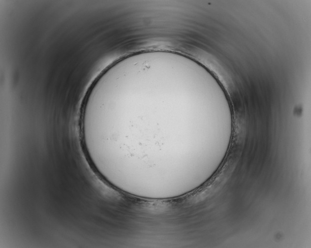 X0000102471090200808221637