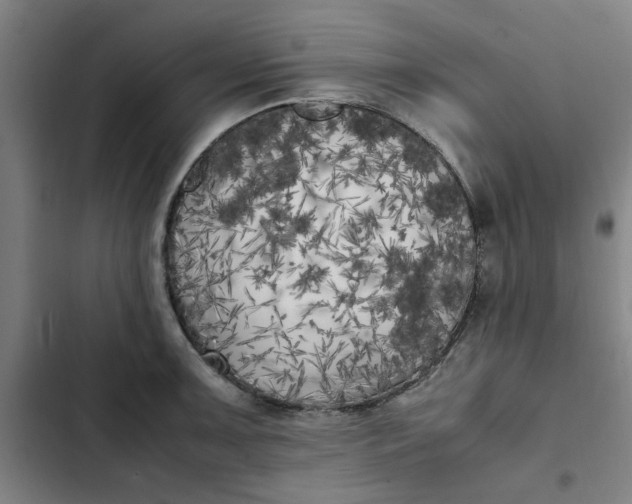 X0000102471091200808221637