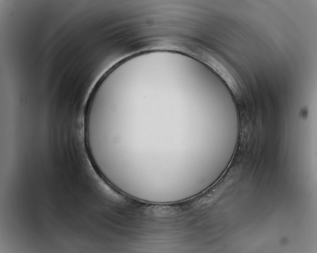 X0000102471092200808221637