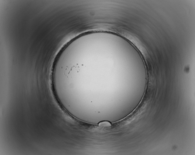 X0000102471093200808221637